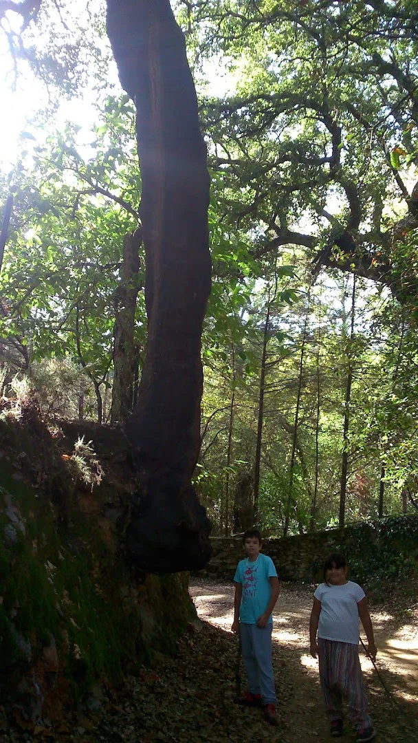 Foto 5 de Alojamiento Rural La Fontanilla
