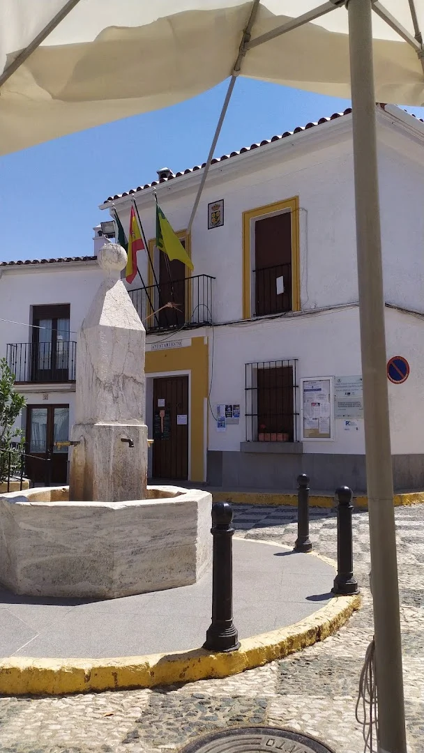 Foto 5 de Ayuntamiento Los Marines