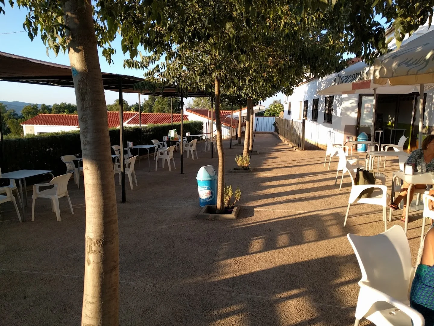 Bar Bambiche