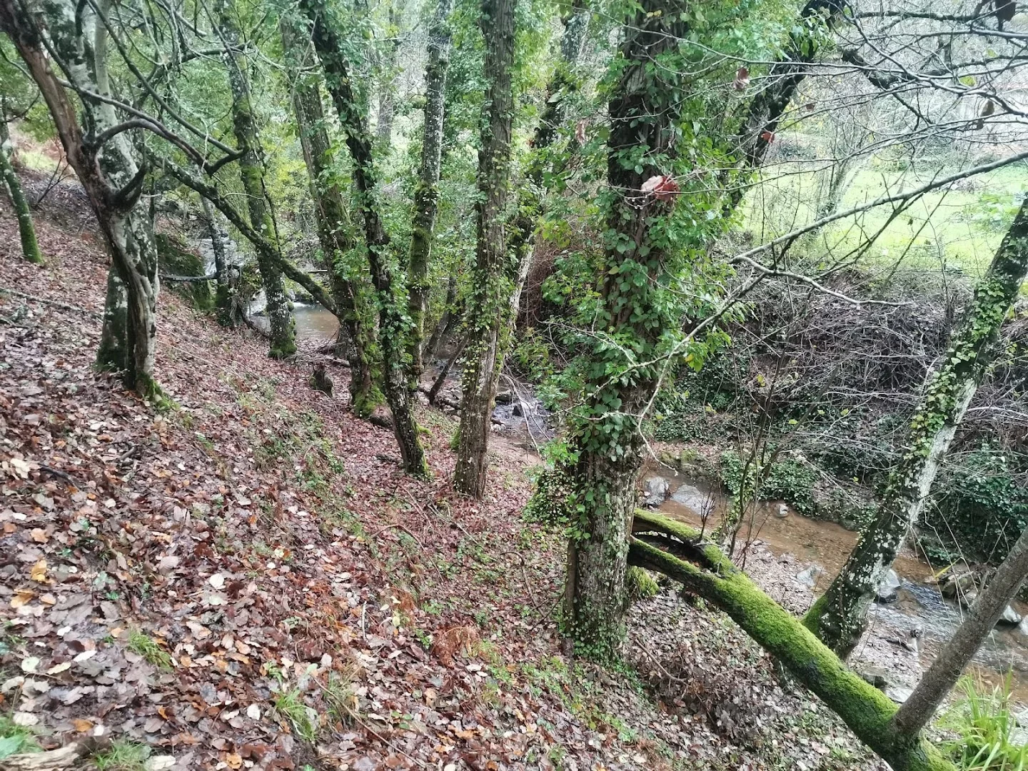 Foto 4 de Barranco de Los Romeros