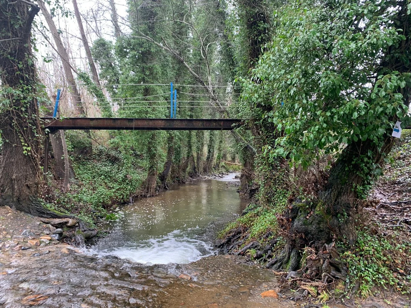 Foto 5 de Barranco de Los Romeros