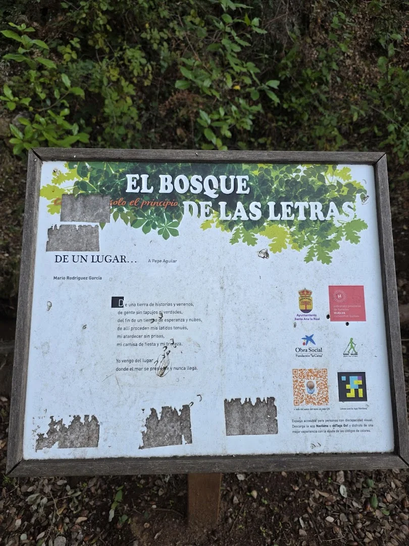Foto 5 de Bosque de las Letras