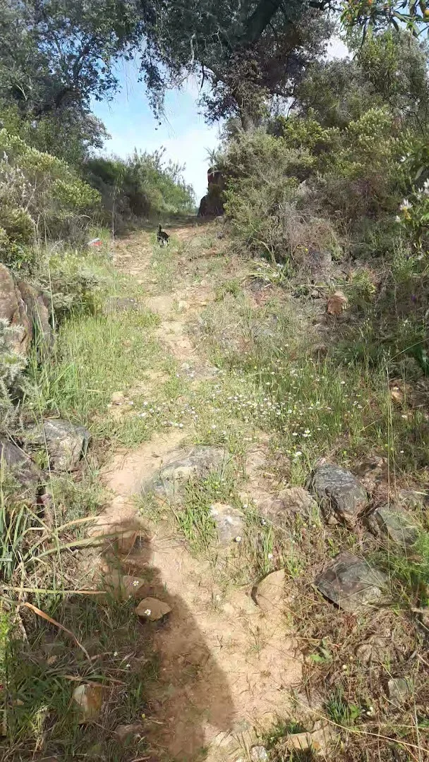 Foto 3 de Camino de las Tobas