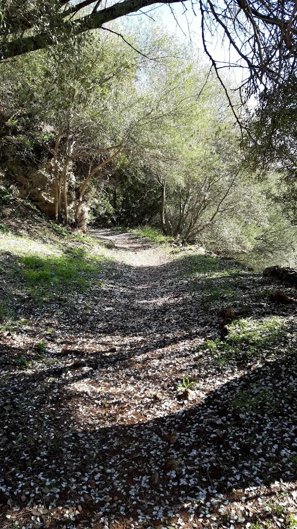Foto 5 de Camino de las Tobas