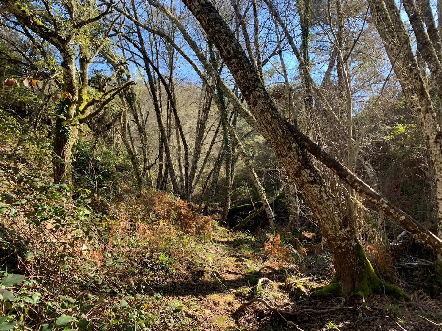 Camino de Valdelarco