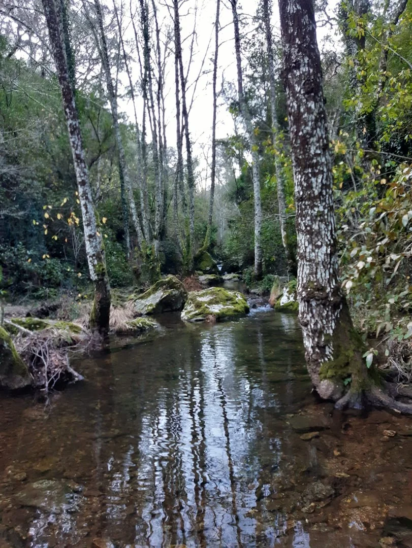 Foto 4 de Camino de Valdelarco