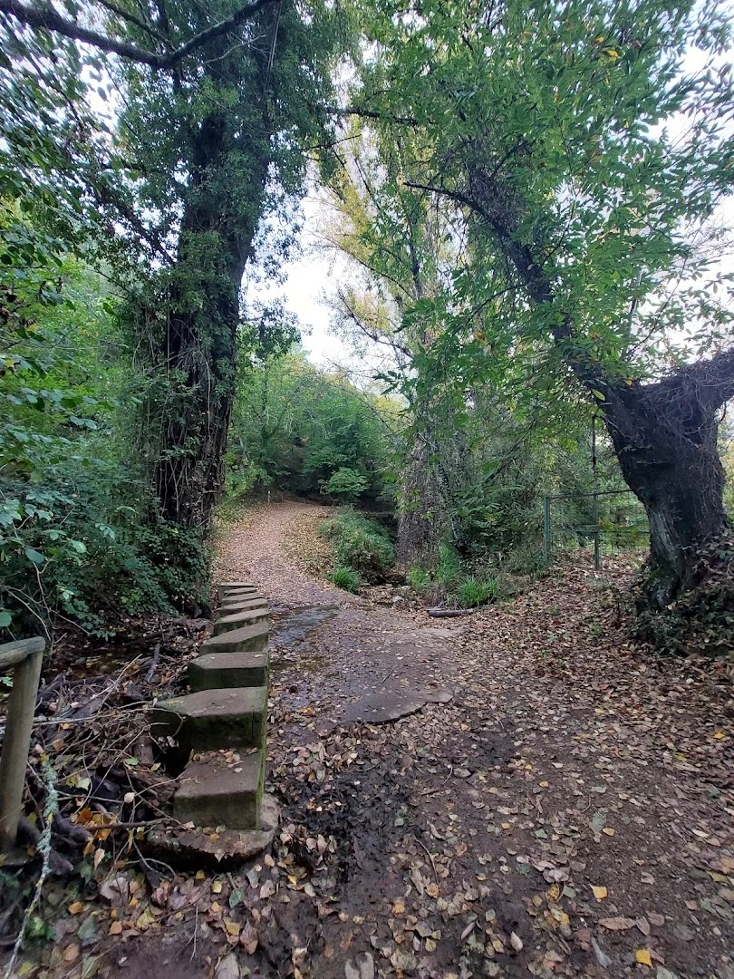 Camino Jabugo-Castaño del Robledo