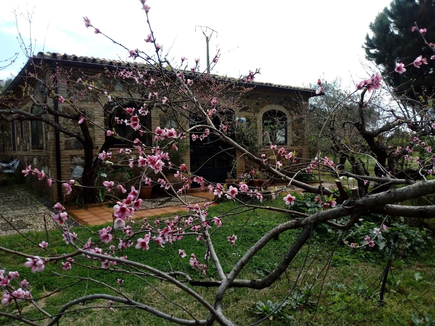 Foto 5 de Casa Chantino