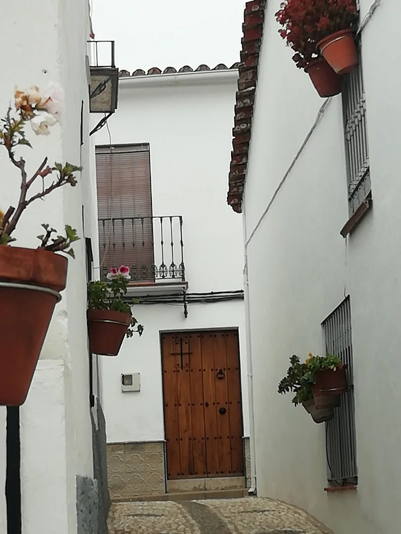 Foto 4 de Casa Millán