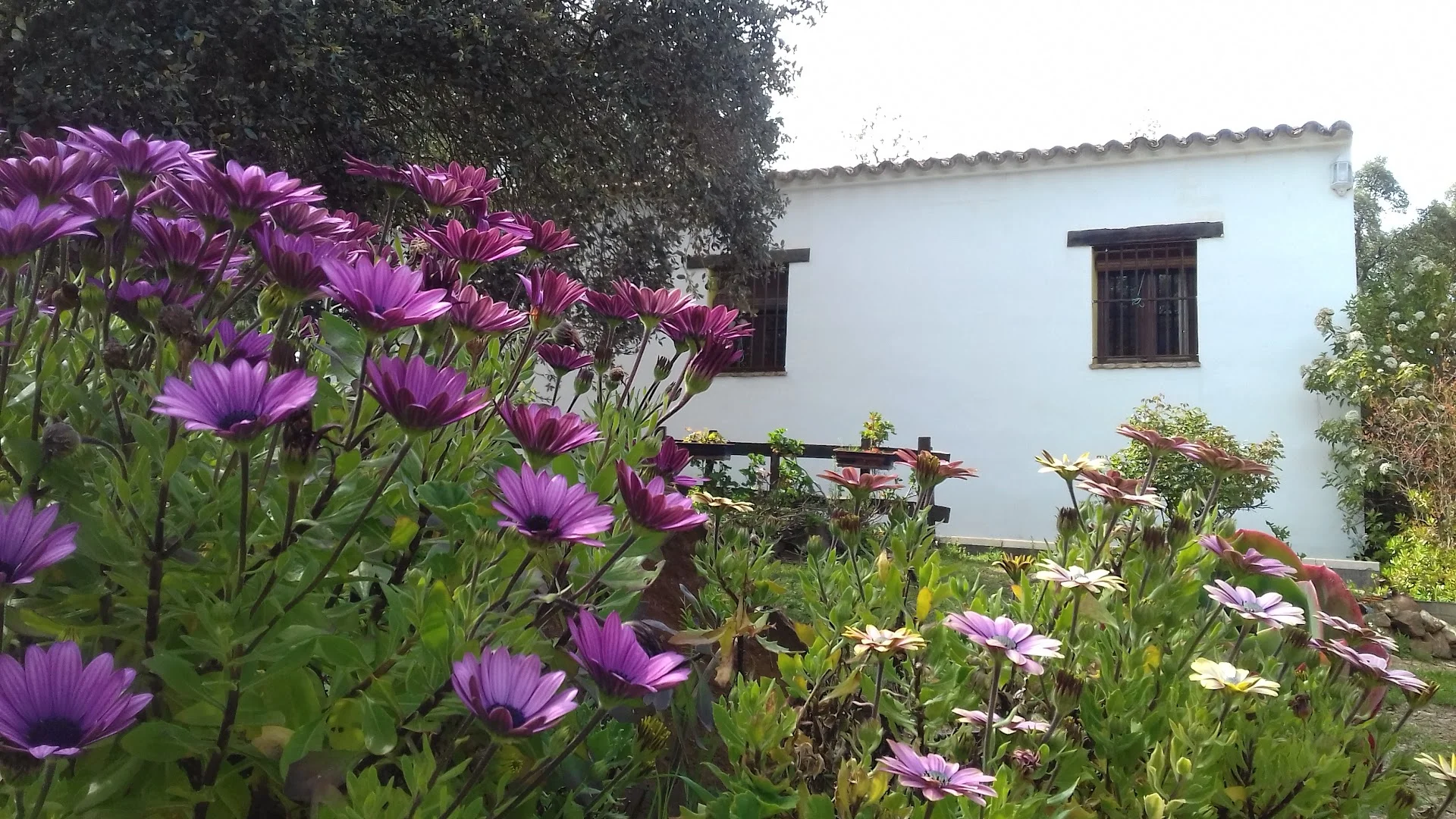 Foto 5 de Casa Rural El Chaparral de Aracena