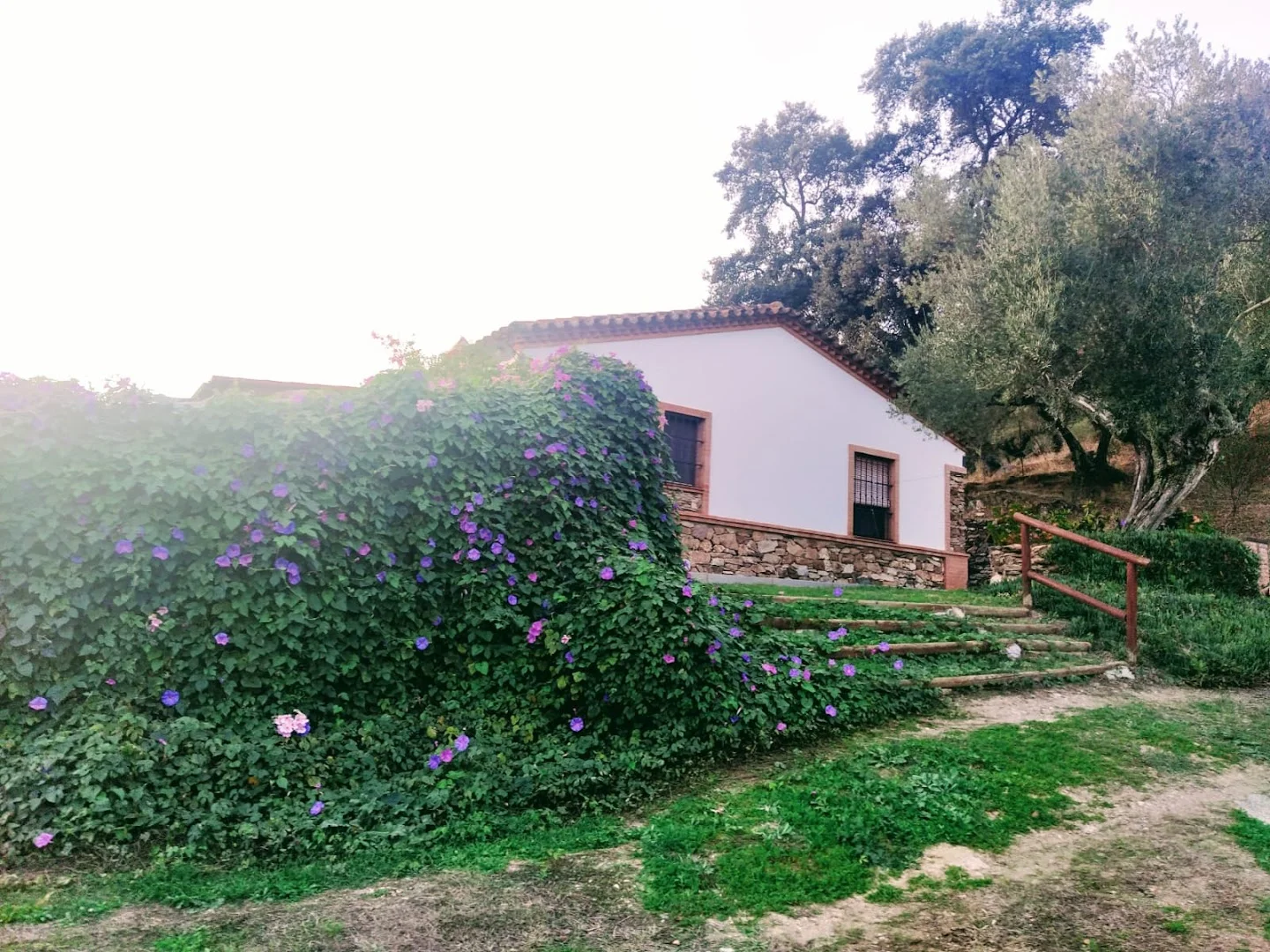 Foto 4 de Casa Rural el Quejigo