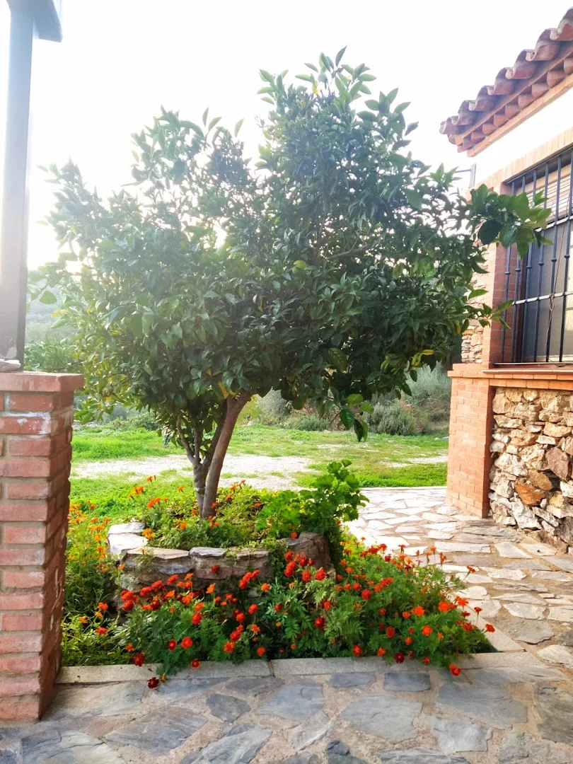 Foto 5 de Casa Rural el Quejigo