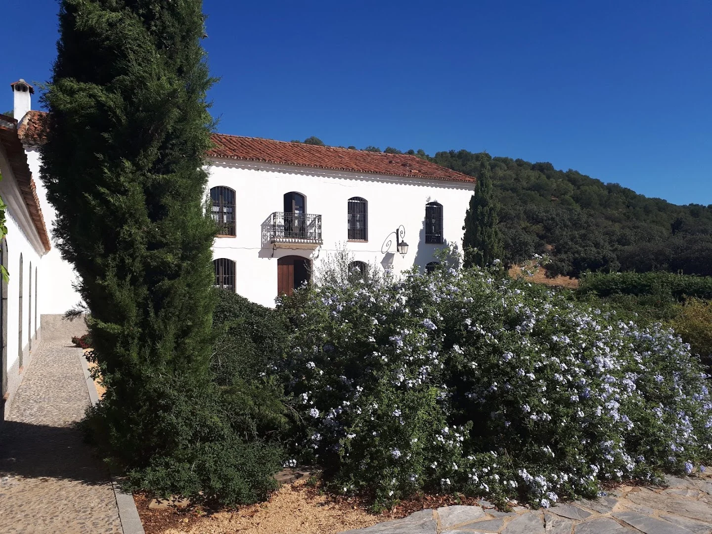 Foto 4 de Casa Rural Fuentibáñez