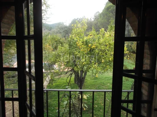 Foto 4 de Casa Rural Huerta Rocio Huelva