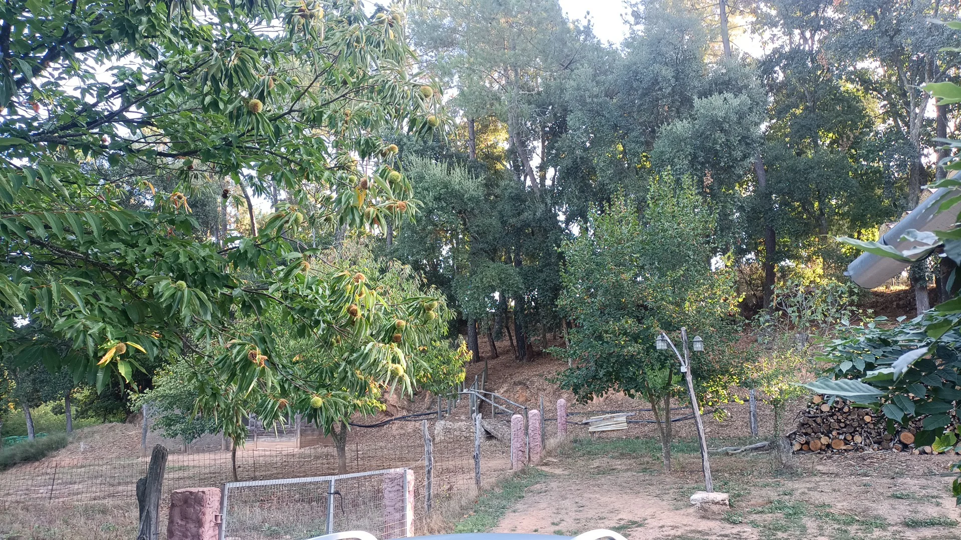 Foto 4 de Casa Rural Valle Granados