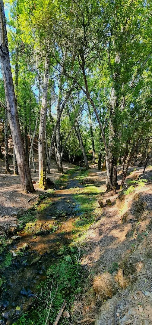 Foto 4 de Cascada de los Molinos