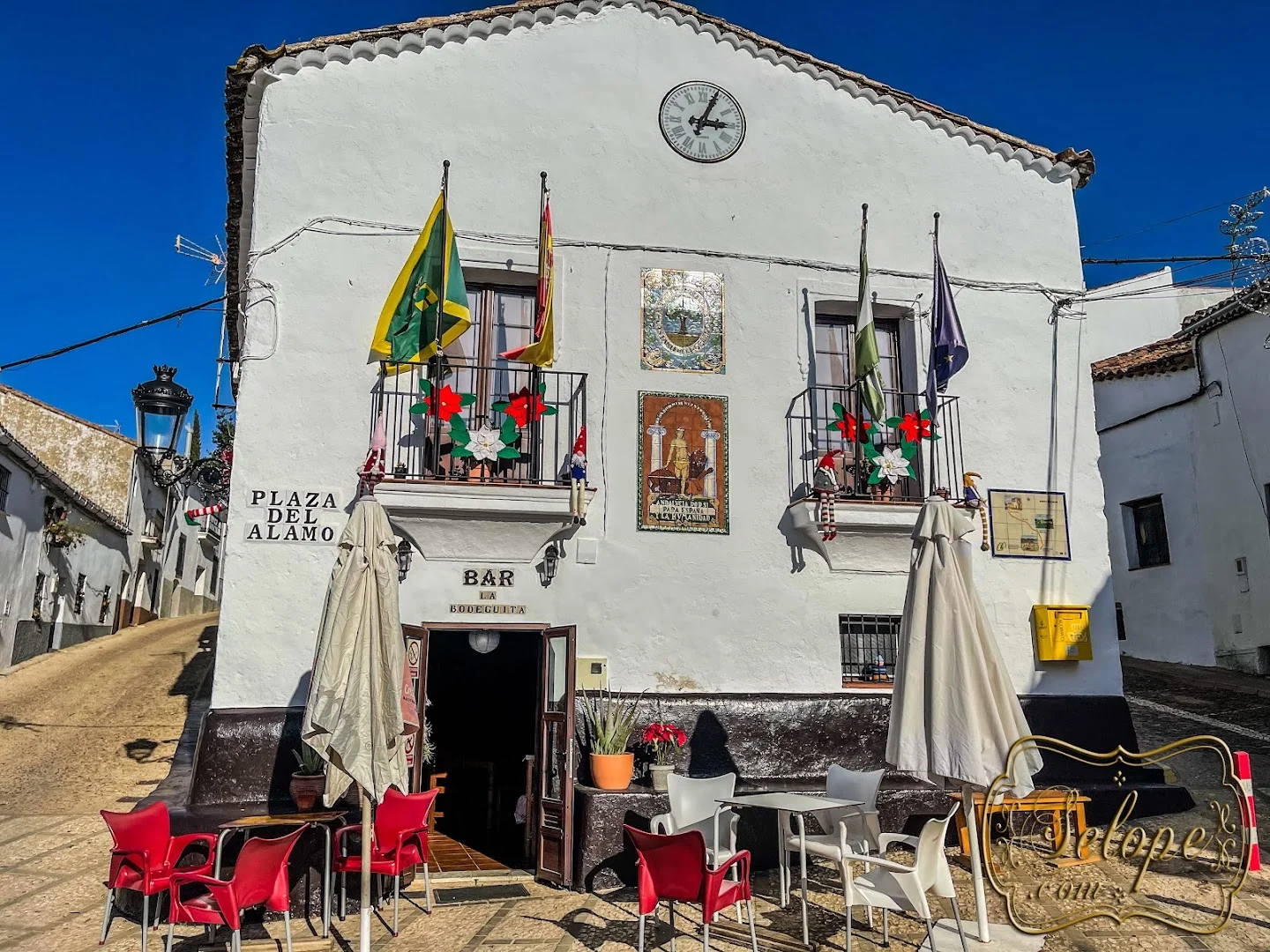 Foto principal de Castaño del Robledo