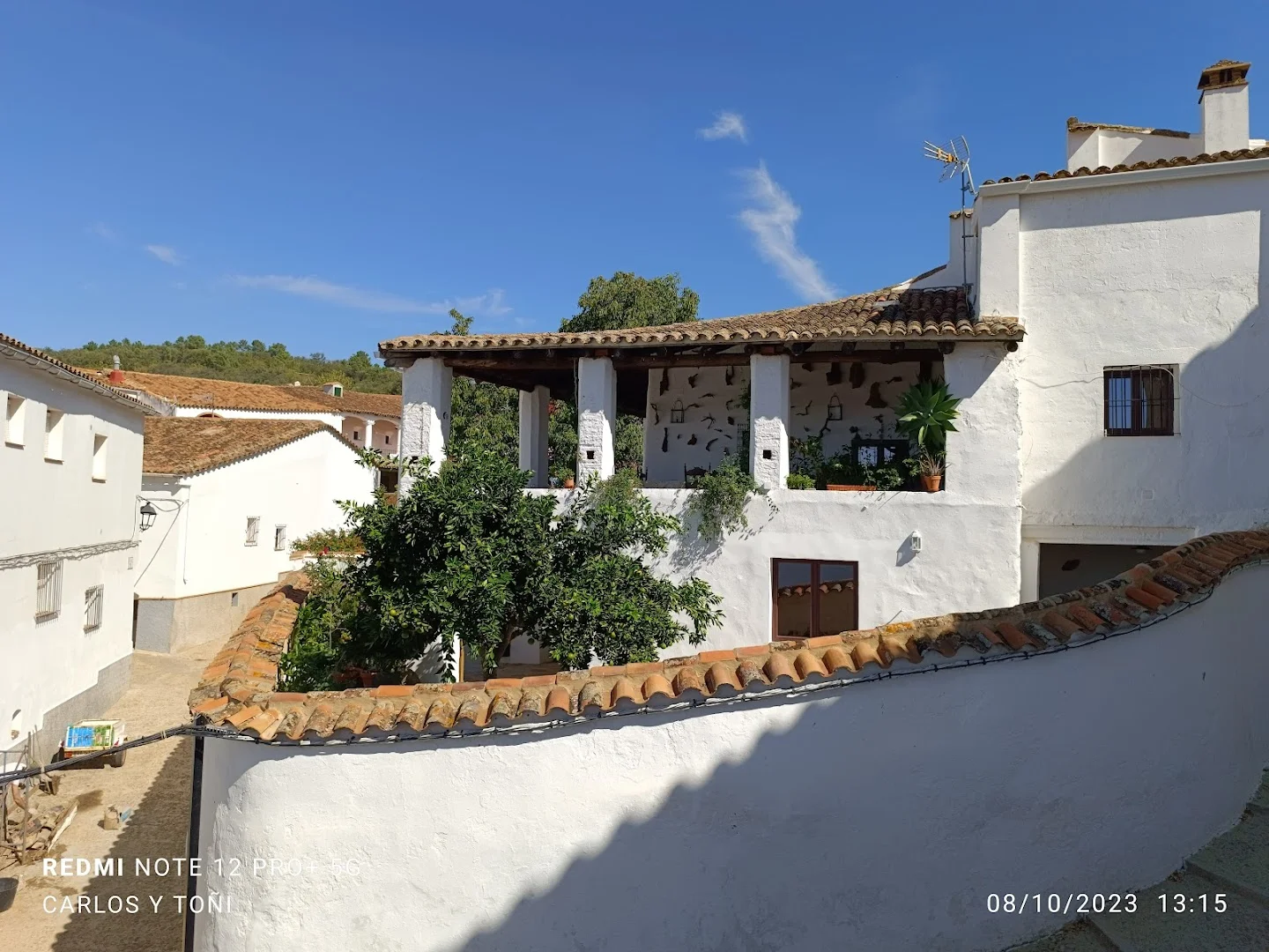 Foto 4 de Castaño del Robledo