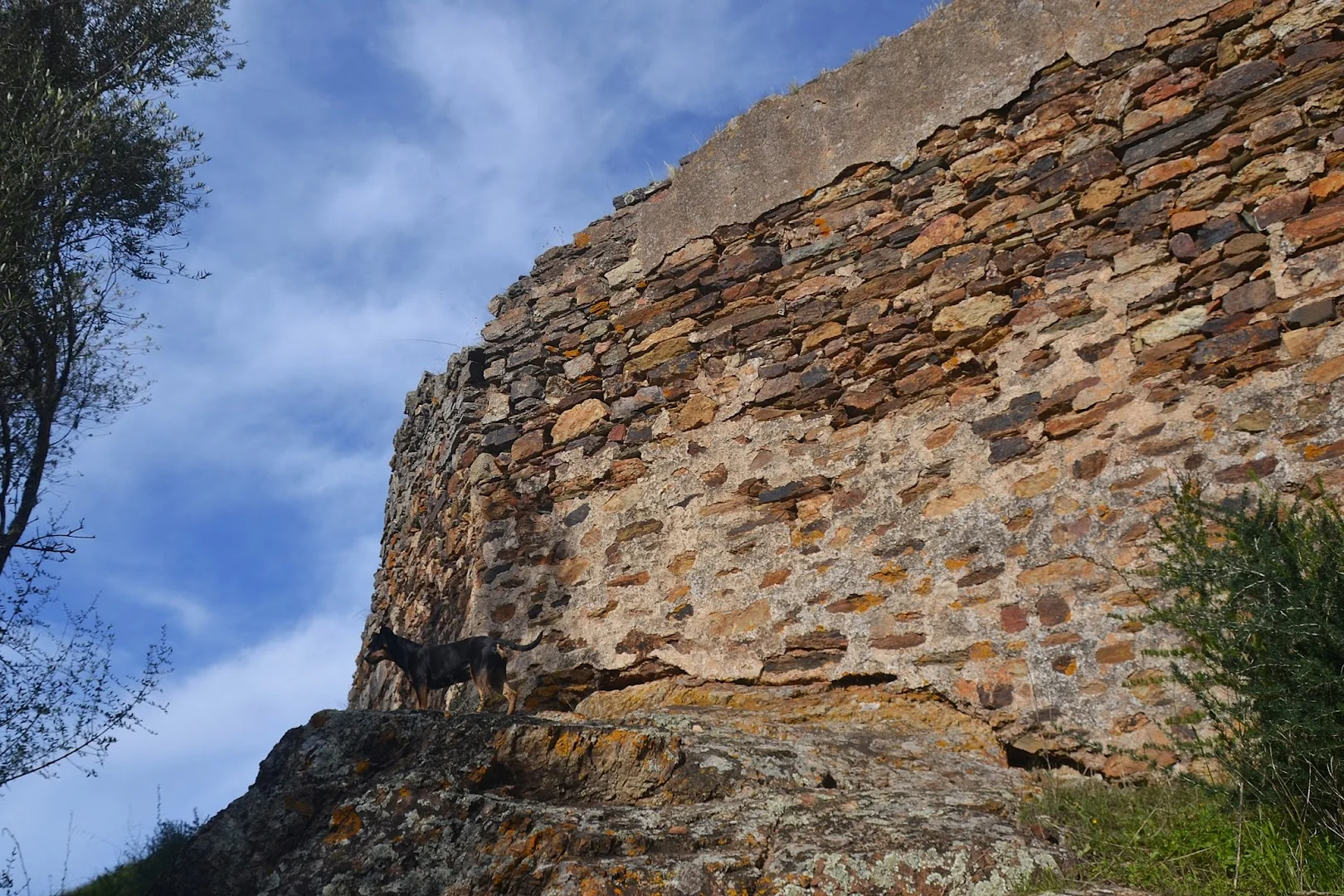 Foto 3 de Castillo de Torres