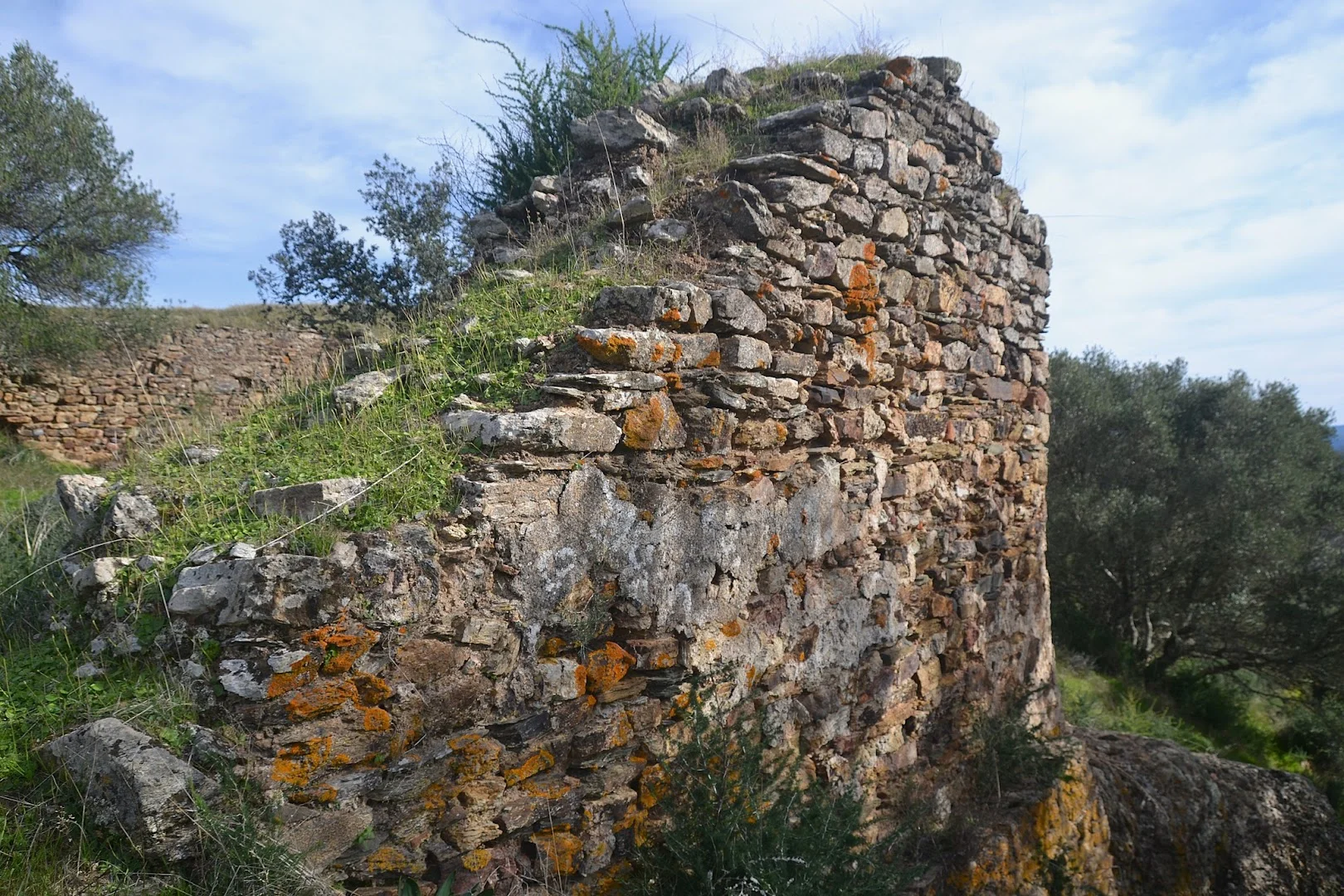 Foto 4 de Castillo de Torres