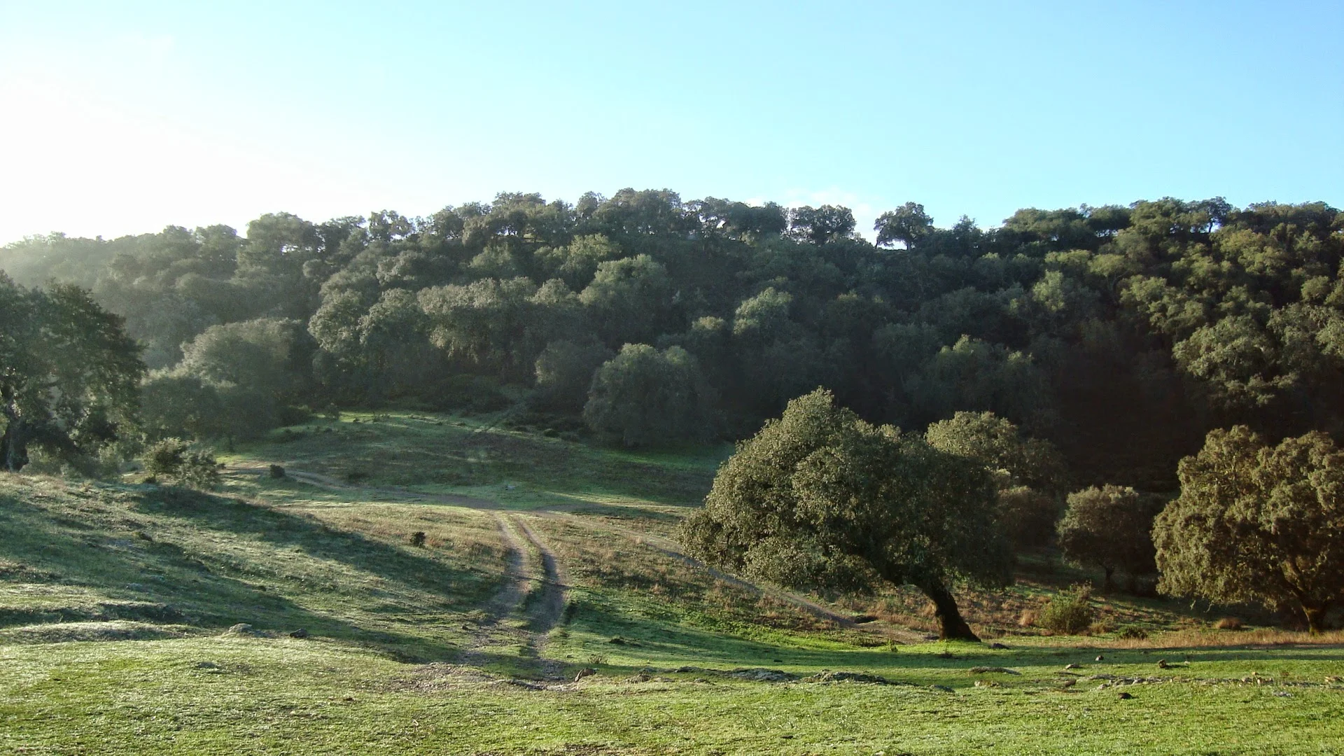 Foto 5 de Cortijo de Alpiedras