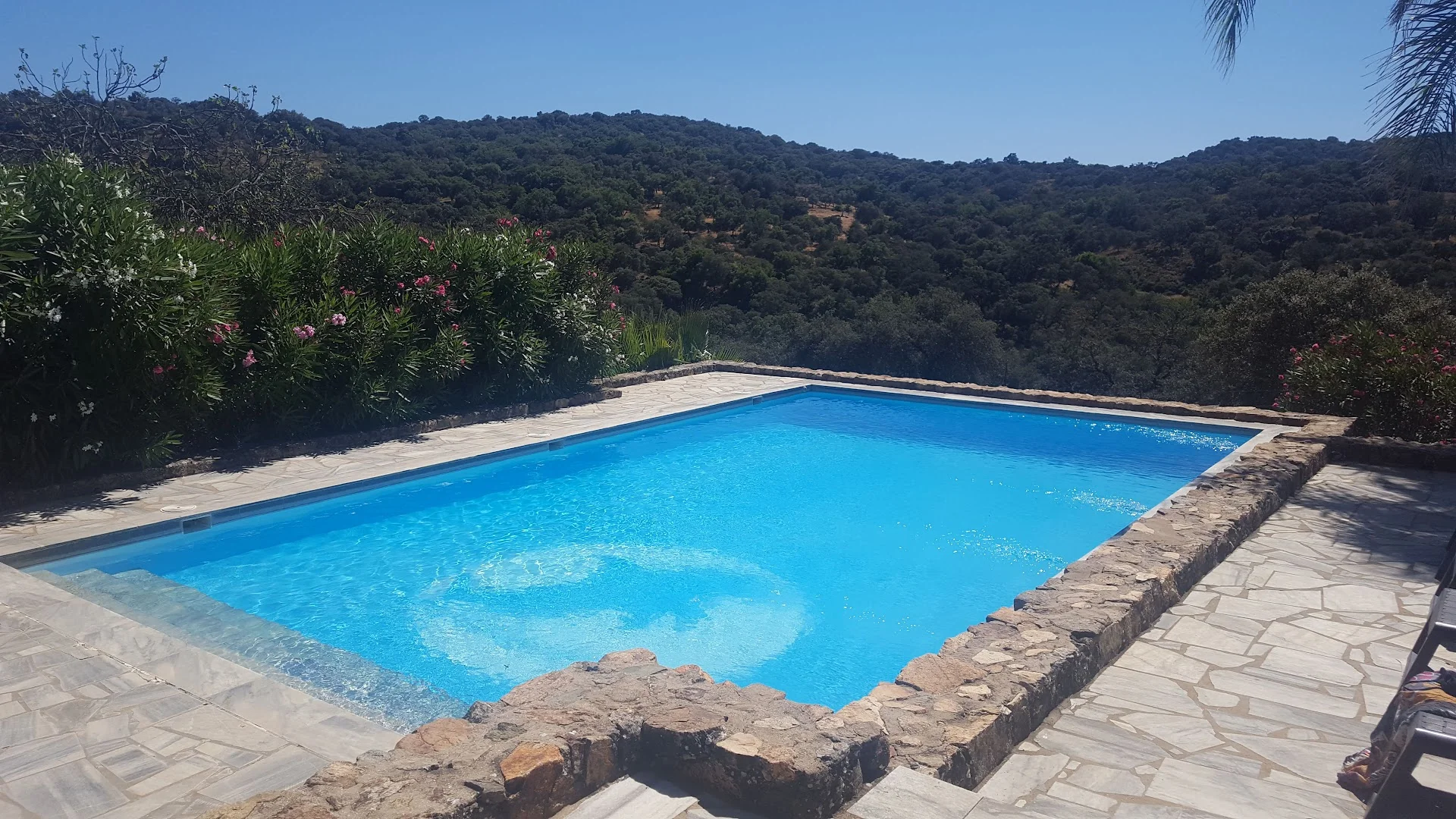 Foto 4 de Cortijo La Umbría