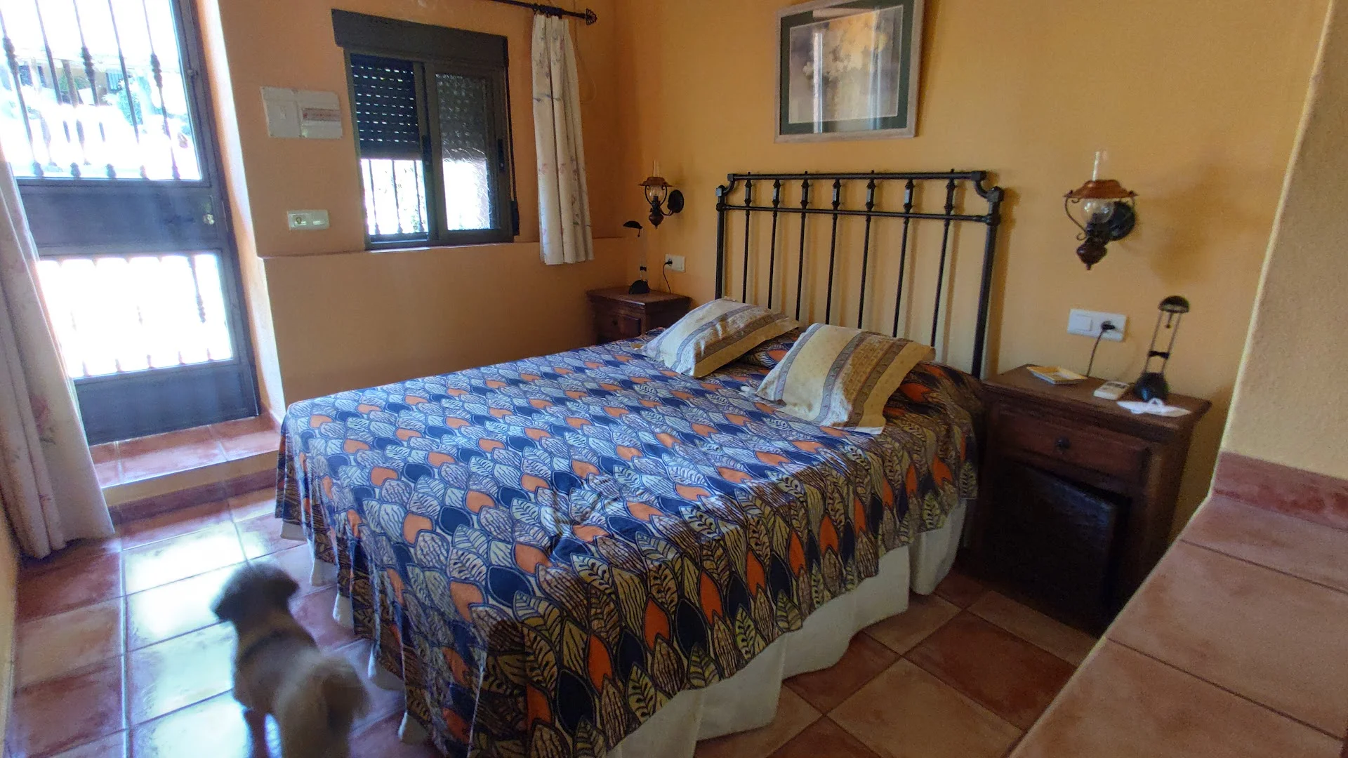 Foto 4 de Cortijo Zalamea Sl