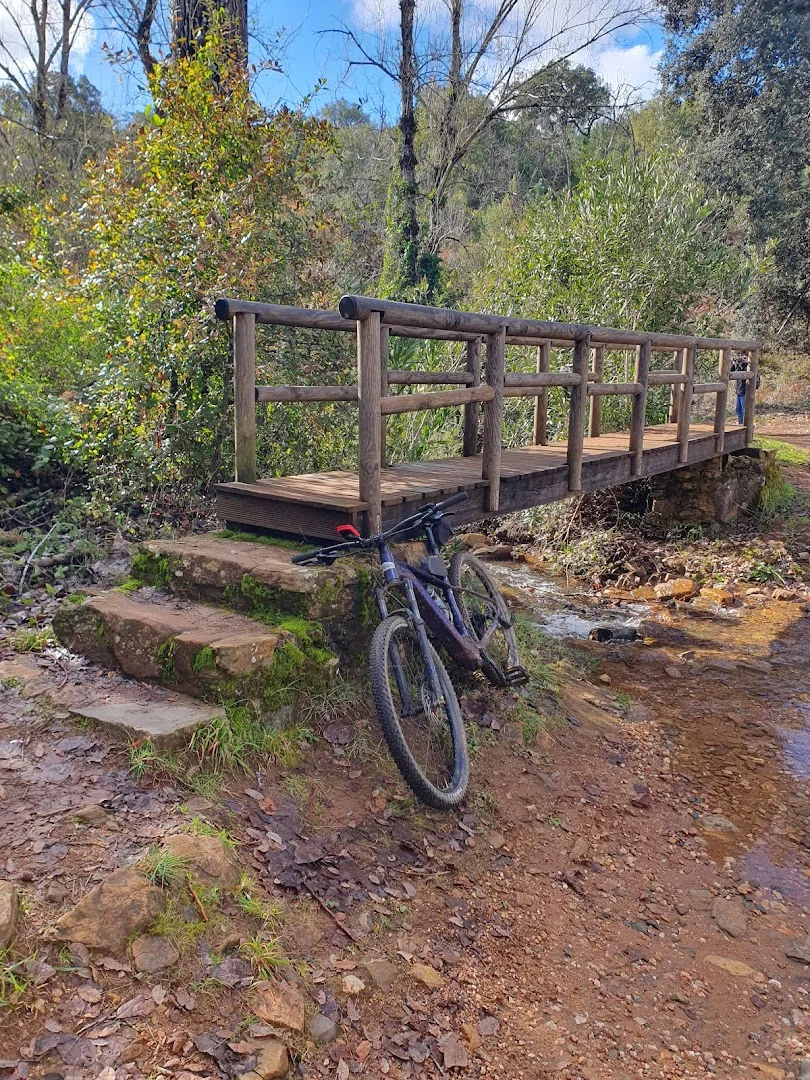 Foto 5 de eBike Aracena