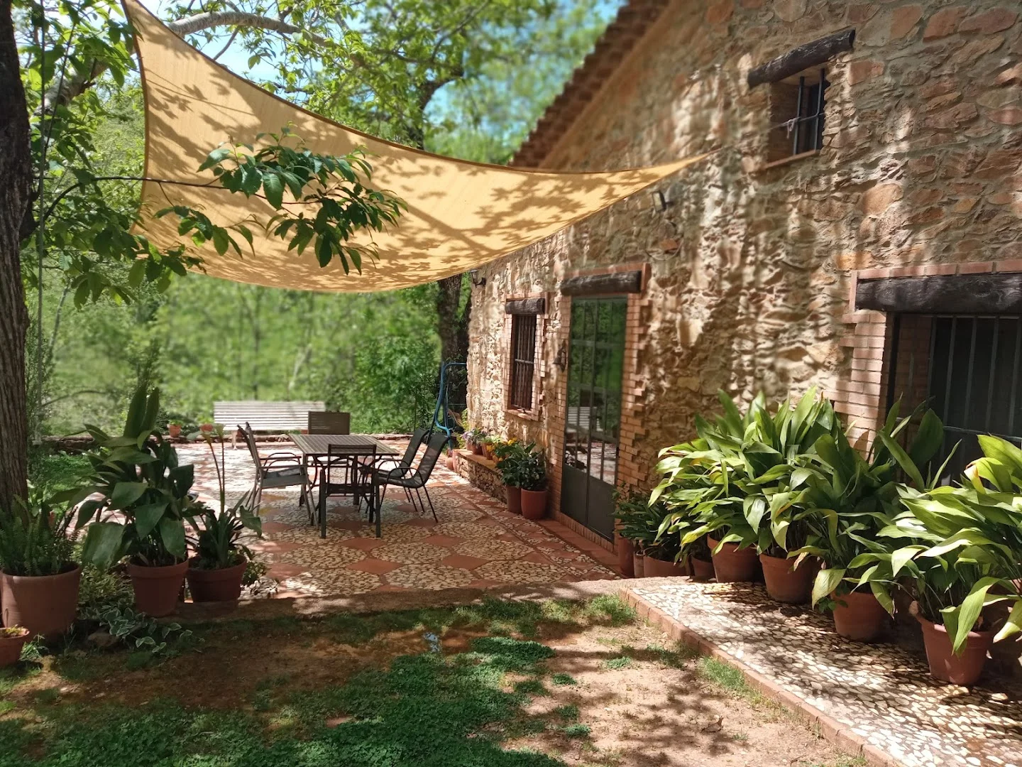 El Castañar del Abuelo Facundo