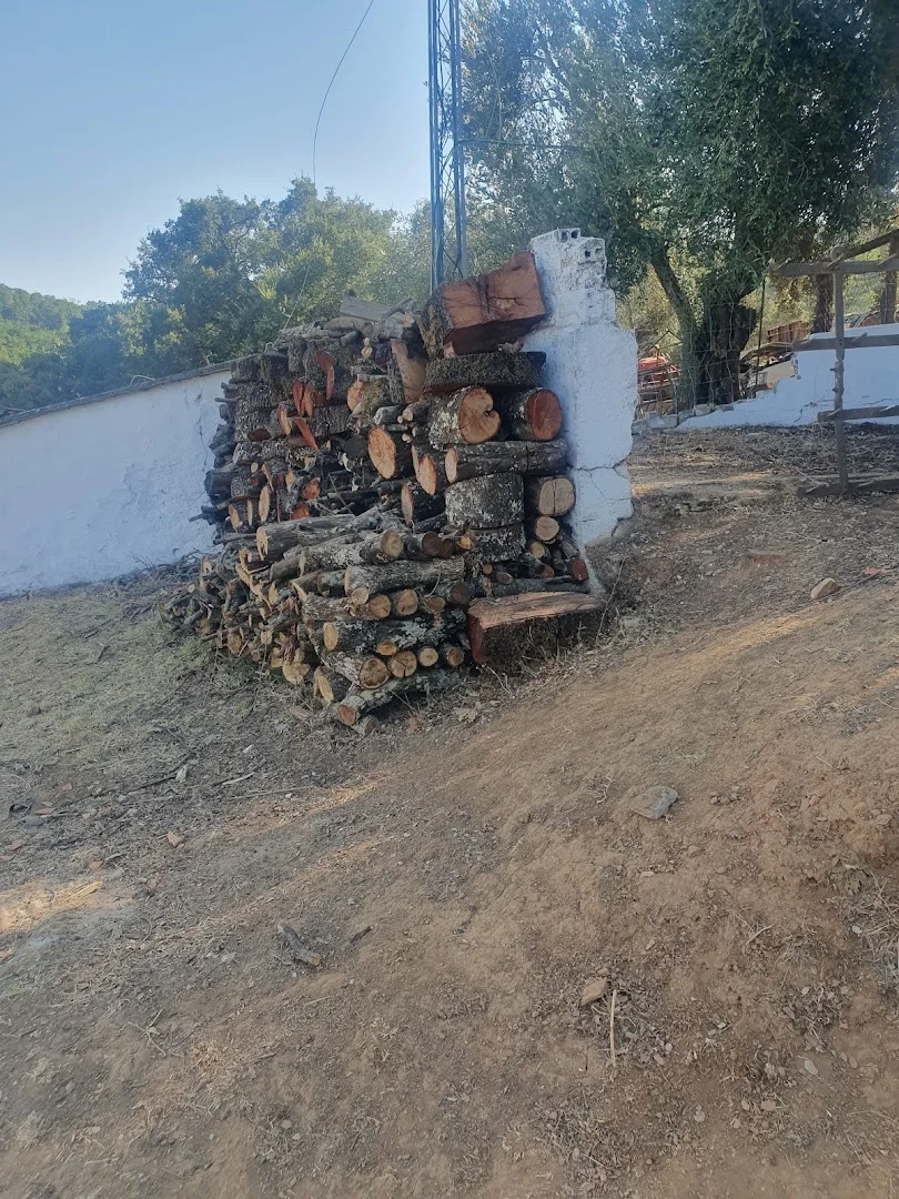 Foto 4 de El Pozuelo 3
