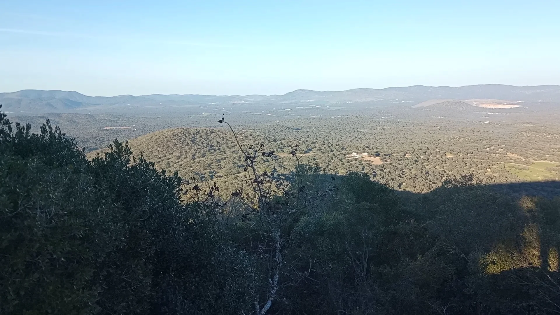 Foto 3 de El Viso
