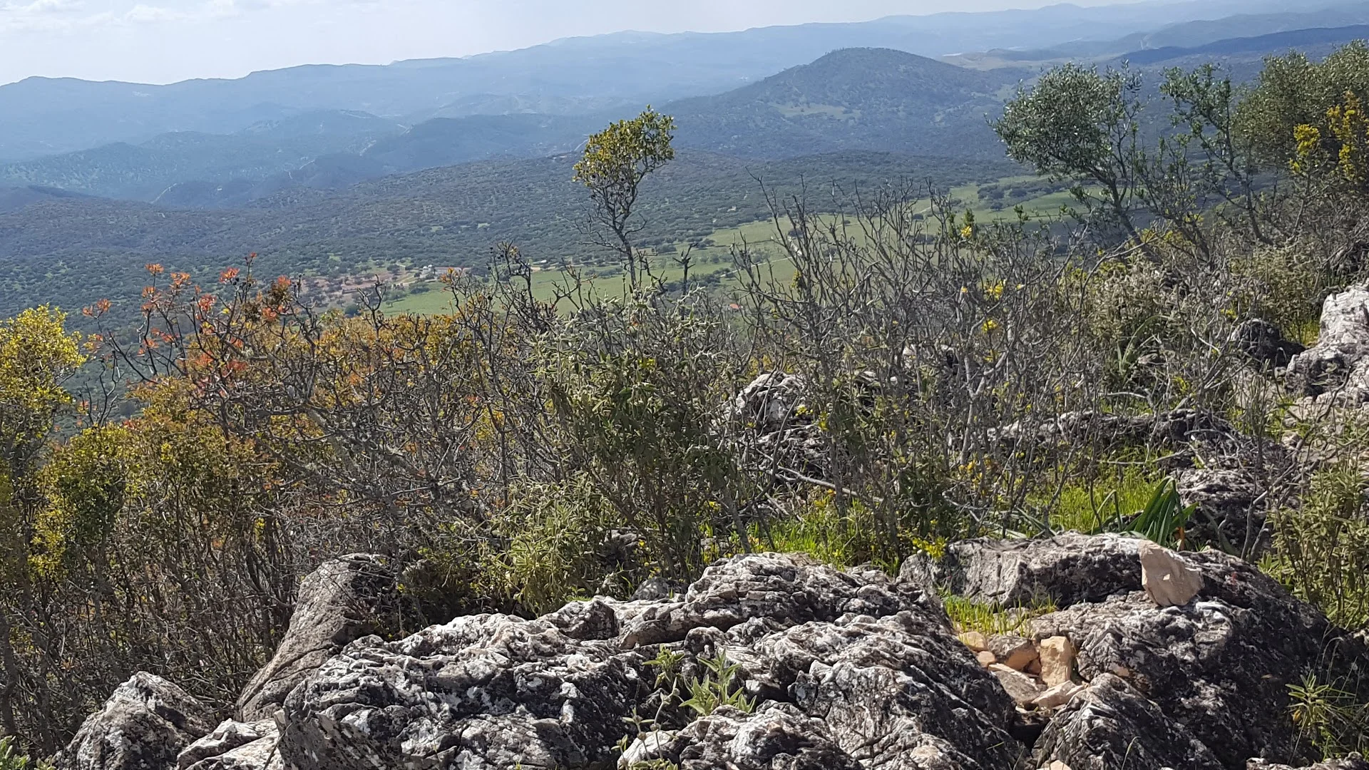 Foto 4 de El Viso