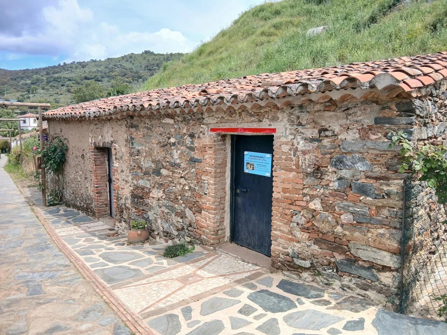 Exposición El Buscador de Setas