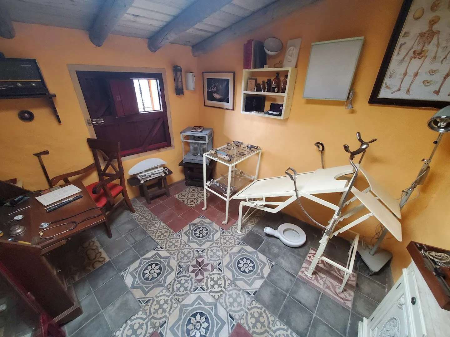 Foto 4 de Exposición El Buscador de Setas