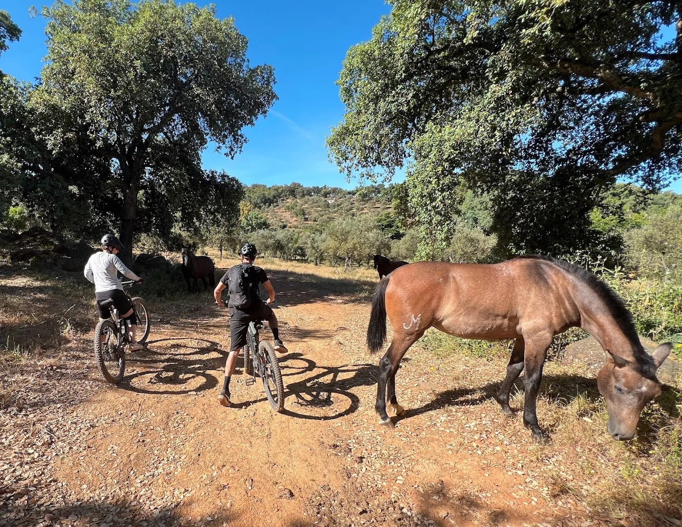 Finca el Moro
