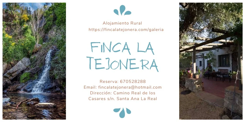 Foto 4 de Finca la Tejonera