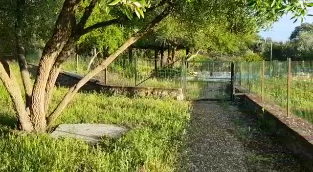 Foto 3 de Finca Montefrío