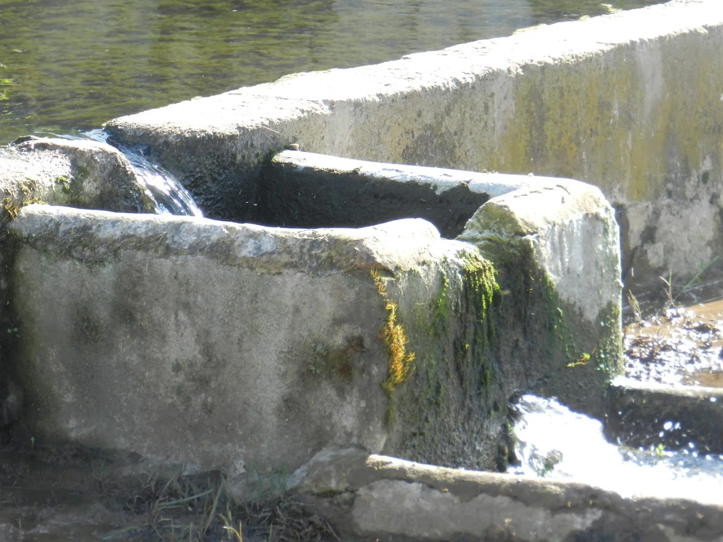 Foto 4 de Fuente de La Magdalena