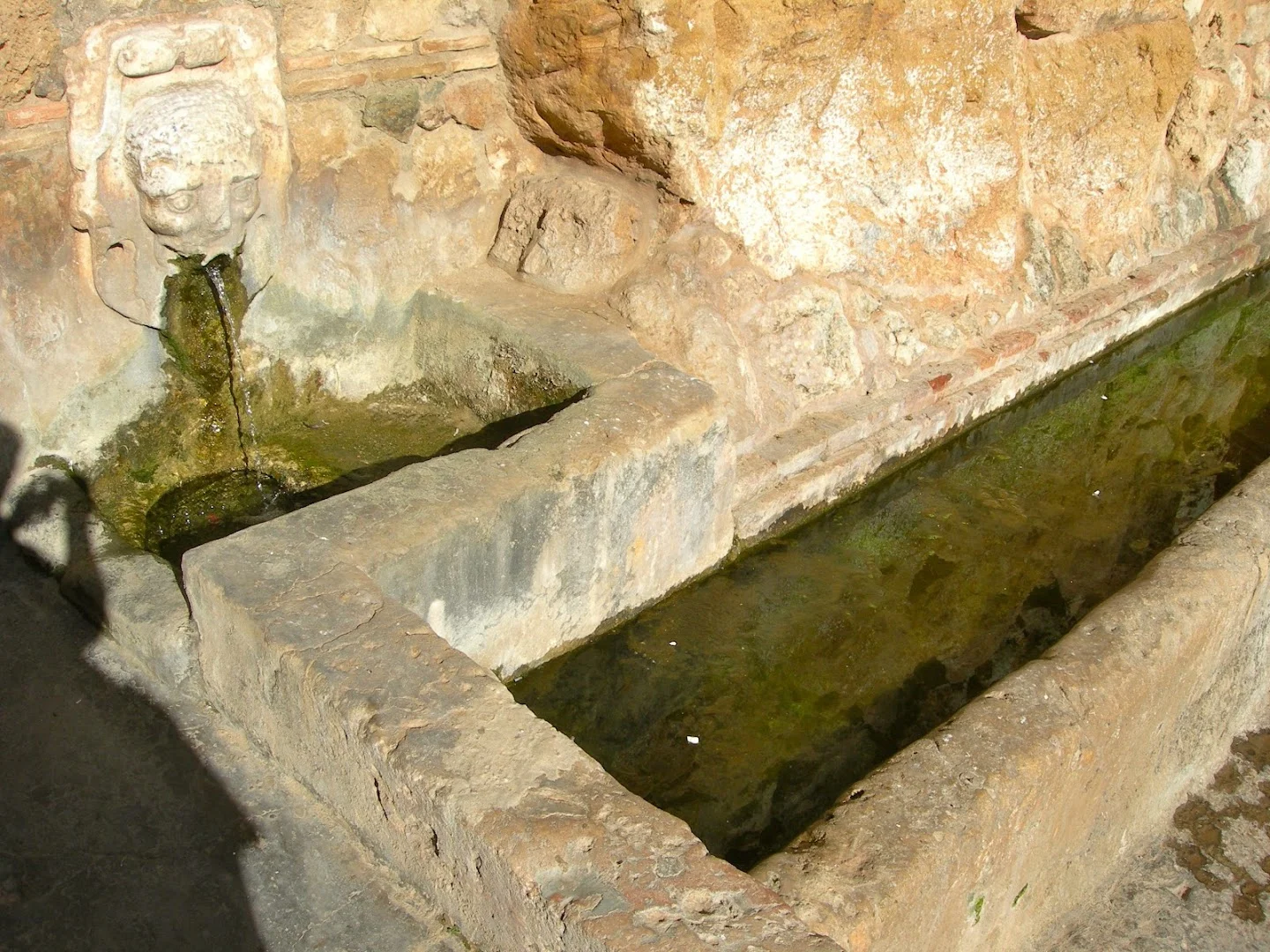 Fuente del Concejo