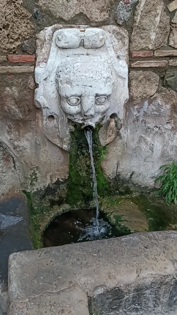 Foto 3 de Fuente del Concejo