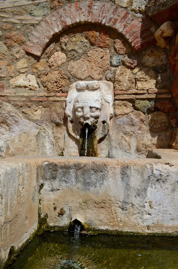 Foto 4 de Fuente del Concejo