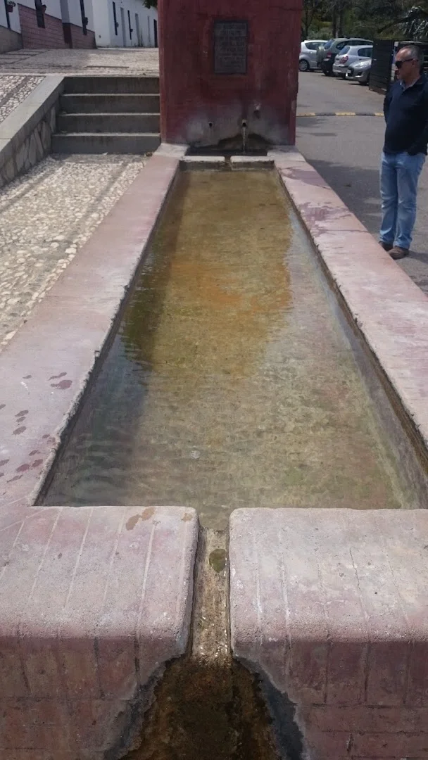Foto 4 de Fuente Del Pilar