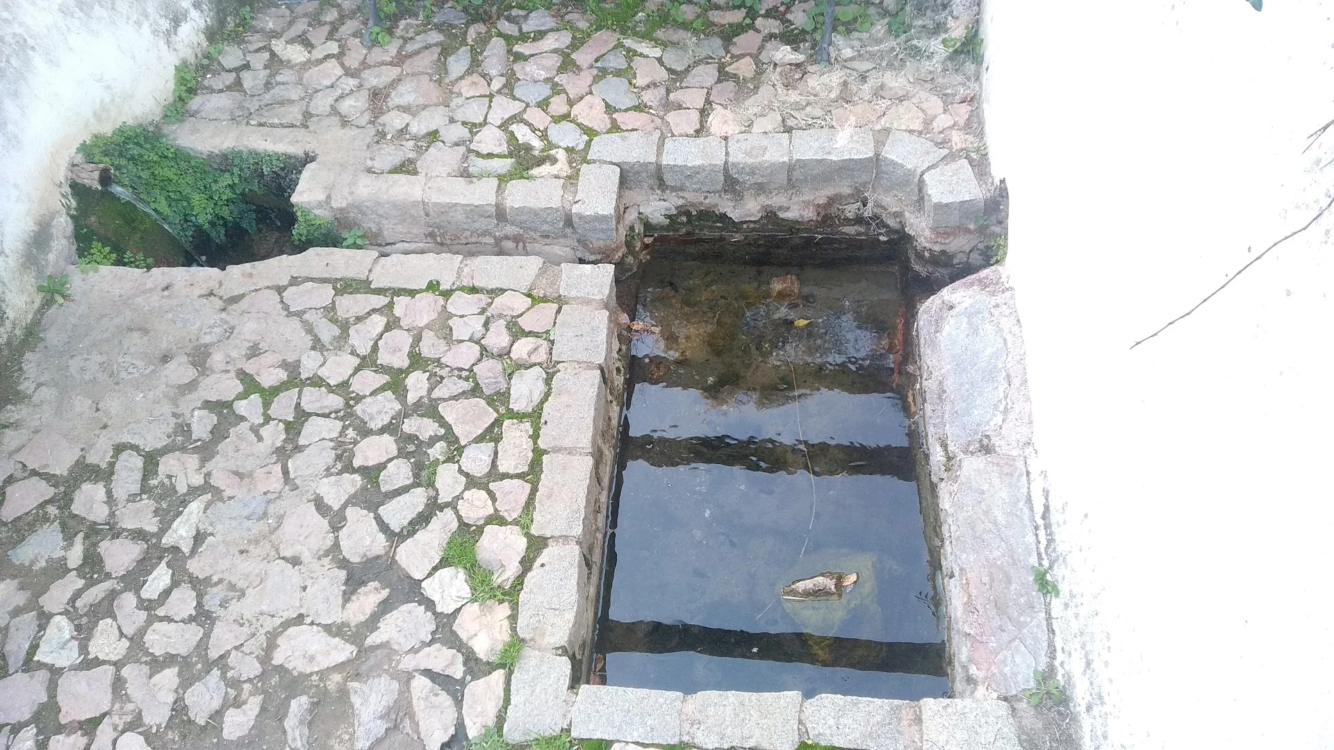 Foto 3 de Fuente Mimbrera