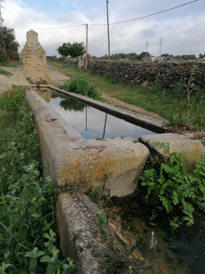 Foto 4 de Fuente "Nueva"