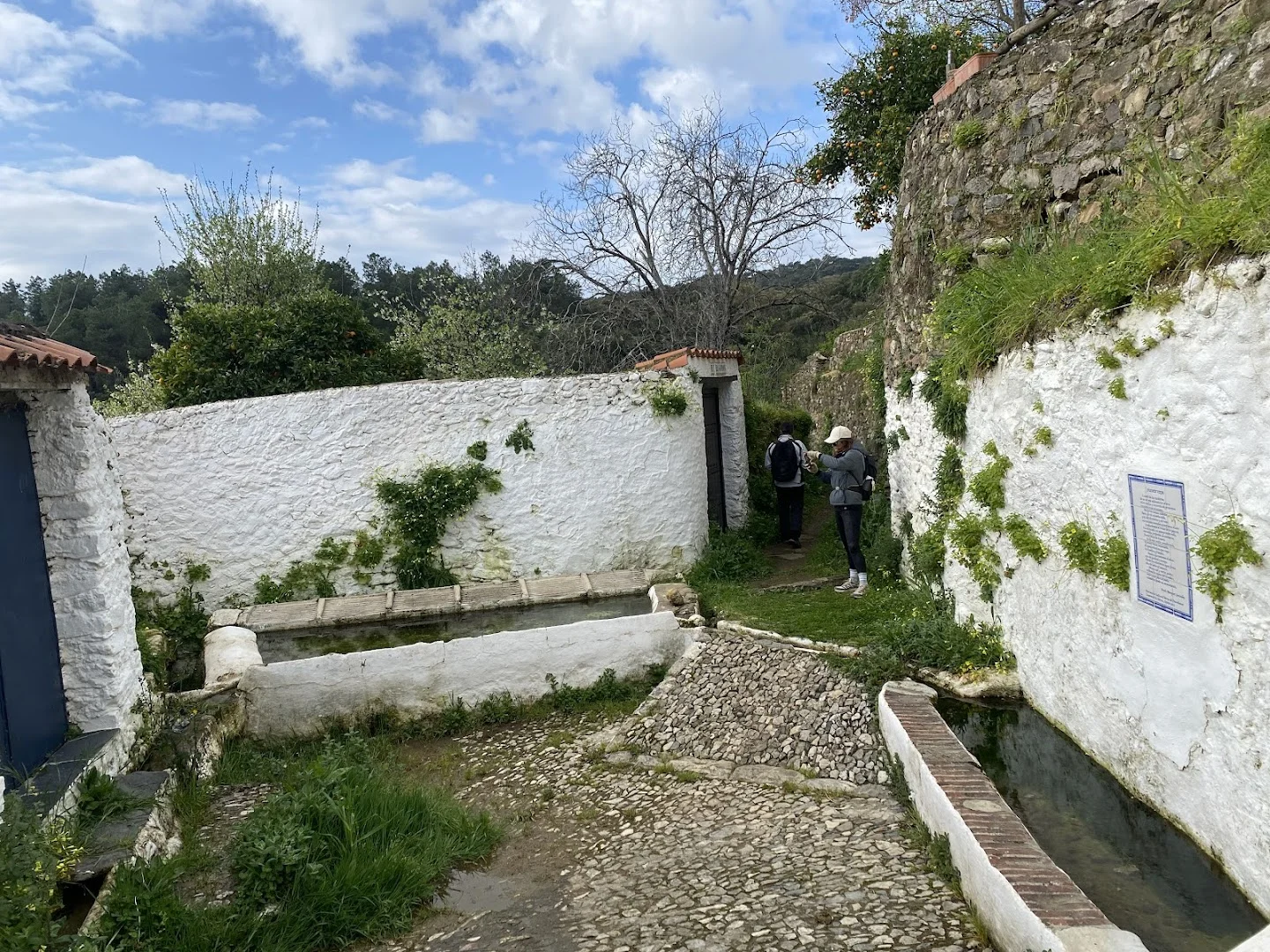 Fuente Vieja