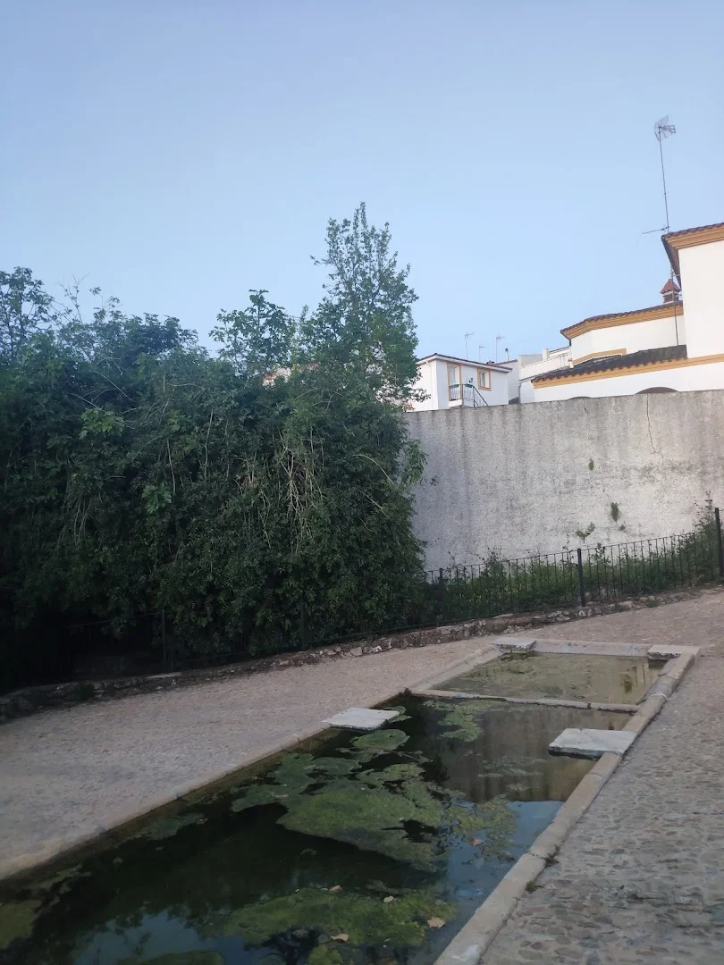 Foto 5 de Fuente y Lavaderos del Chanza