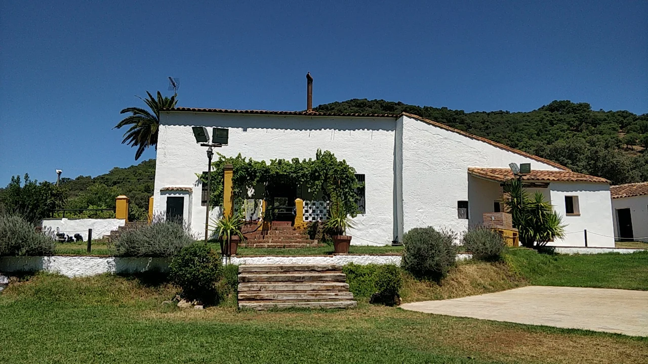 Fuentezaos las Palmeras