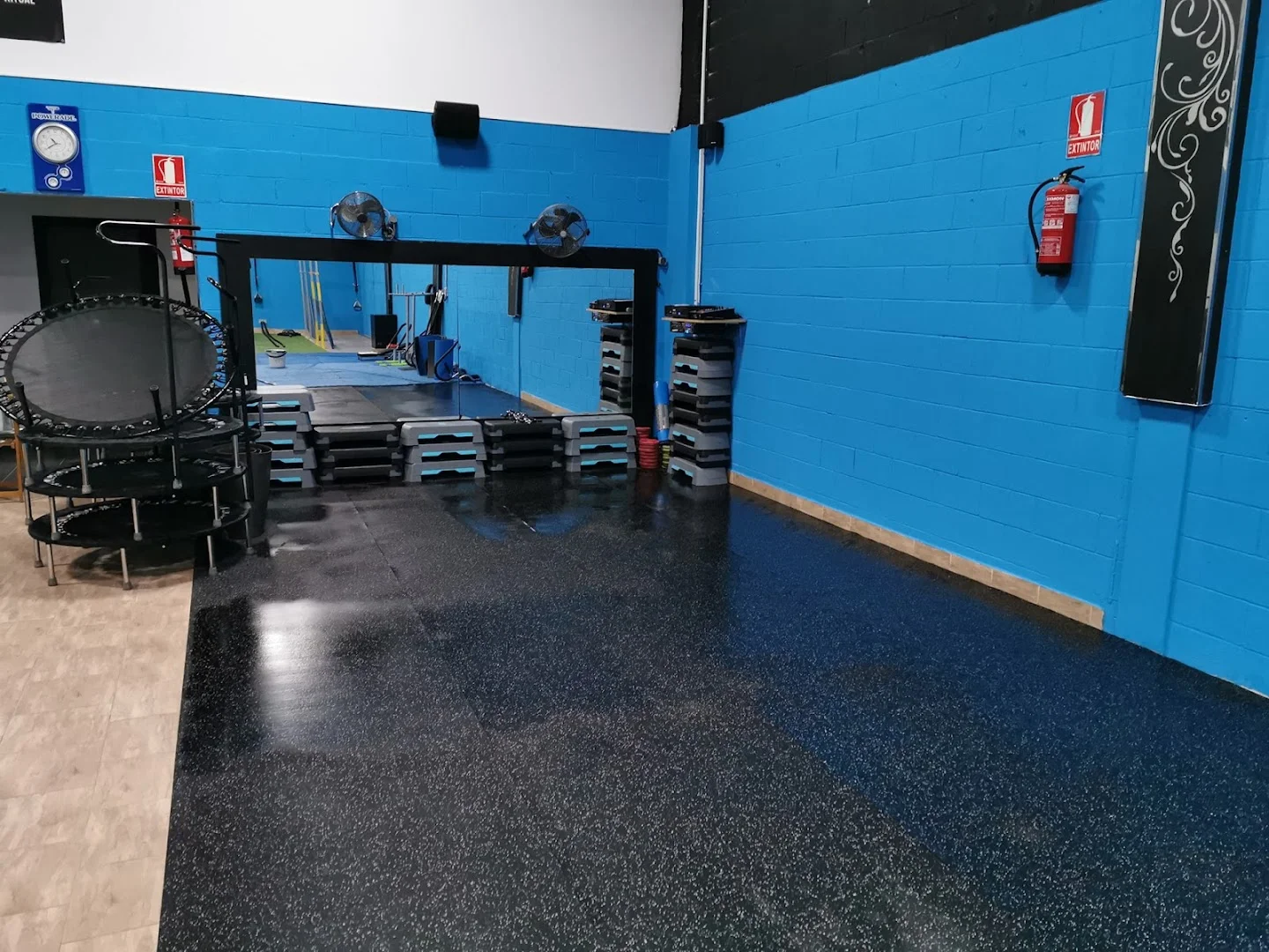 Foto 3 de Gimnasio Wellness Aracena