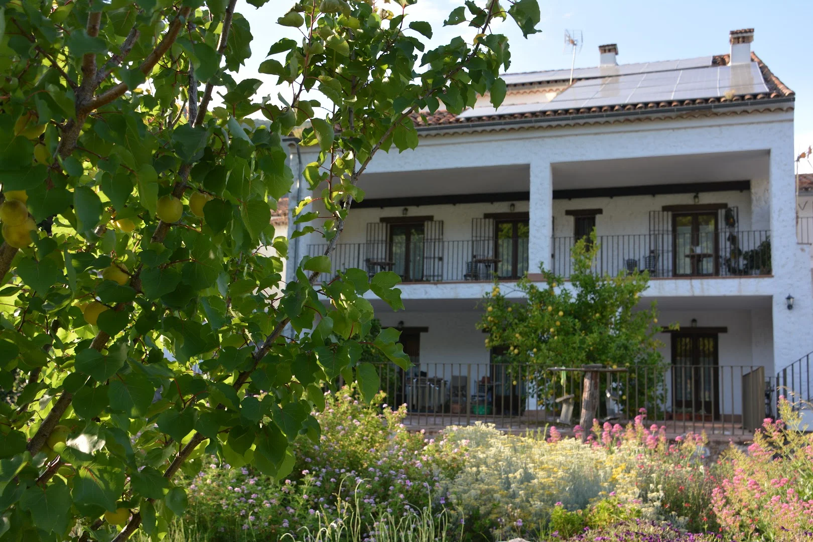 Hotel Posada San Marcos - Alojamiento Alajar