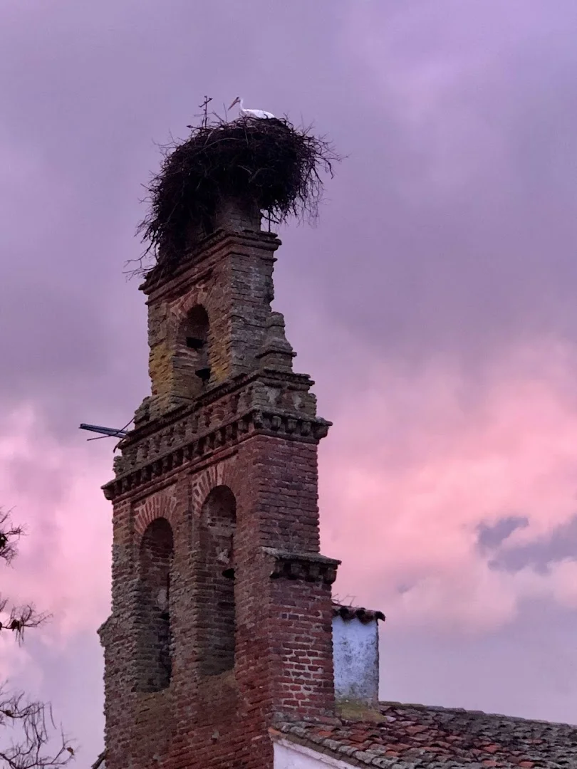 Foto 5 de Iglesia de Nuestra Señora de Gracia